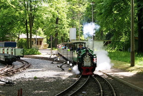 Galerie Erster Einsatztag der Gastlokomotive aus Leipzig - Bild 5