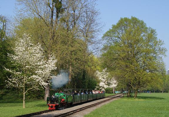 Galerie Frühling im Großen Garten - Bild 1