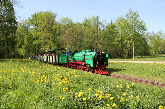 Galerie Frühling im Großen Garten - Bild 5