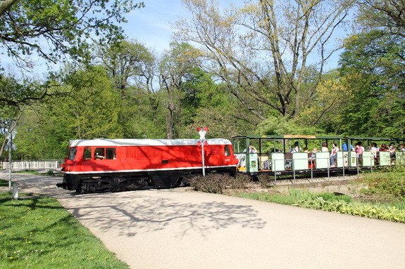 Galerie Frühling im Großen Garten - Bild 6