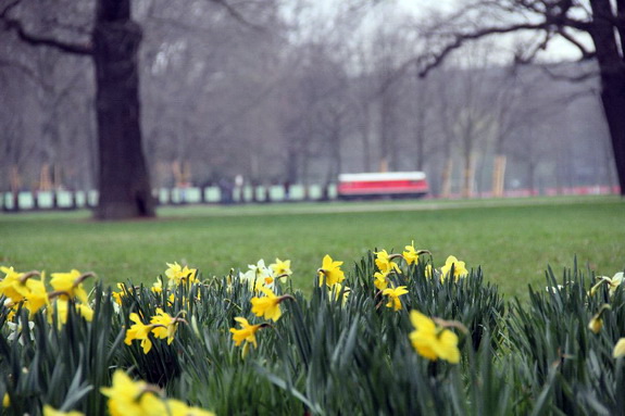 Galerie Frühling im Großen Garten - Bild 7