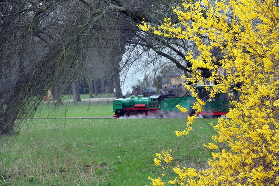 Galerie Frühling im Großen Garten - Bild 8