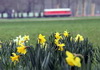 Link zur Bildergalerie Frühling im Großen Garten