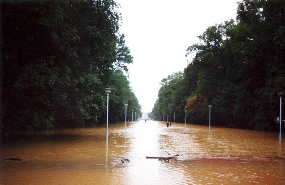 Galerie Hochwasser 2002 - Bild 4