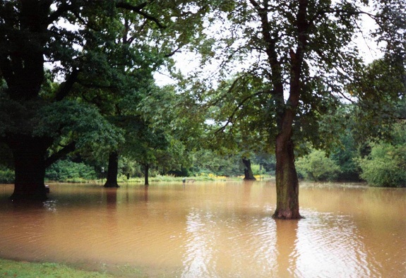 Galerie Hochwasser 2002 - Bild 5