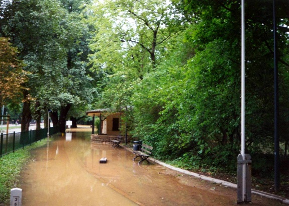 Galerie Hochwasser 2002 - Bild 7