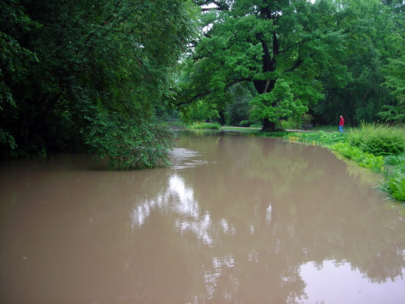 Galerie Hochwasser 2013 - Bild 1