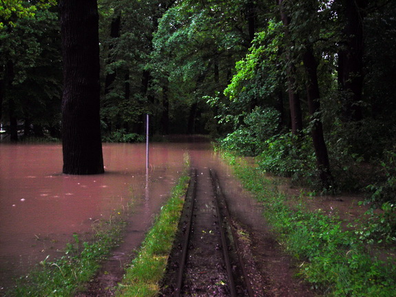 Galerie Hochwasser 2013 - Bild 3