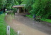 Link zur Bildergalerie Hochwasser