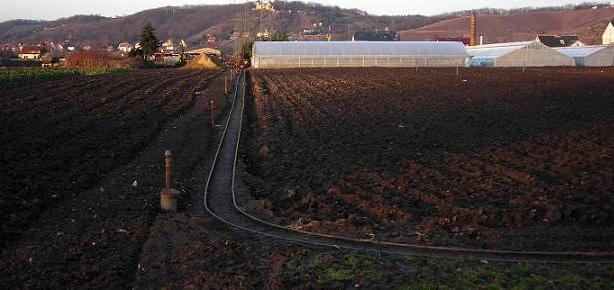 Bild Gärtnerei in Radebeul mit Feldbahn