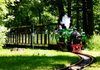 Link zur Bildergalerie Dresden's Park Railway - Parkeisenbahn Dresden