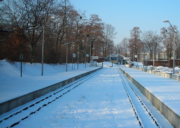 Galerie Winter im Großen Garten - Bild 2