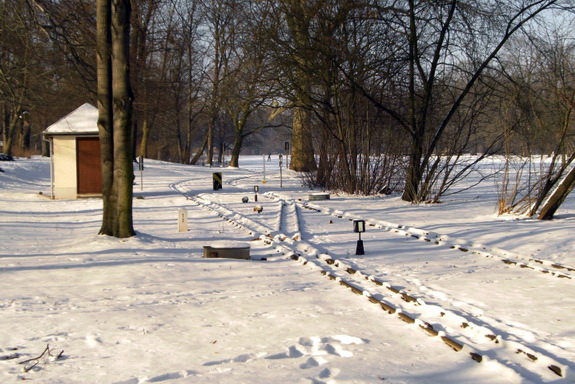 Galerie Winter im Großen Garten - Bild 3