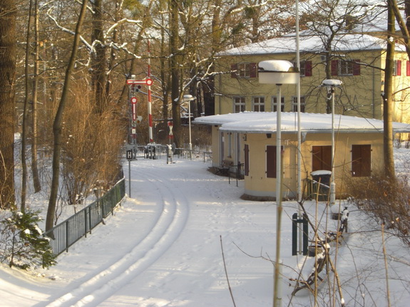 Galerie Winter im Großen Garten - Bild 5