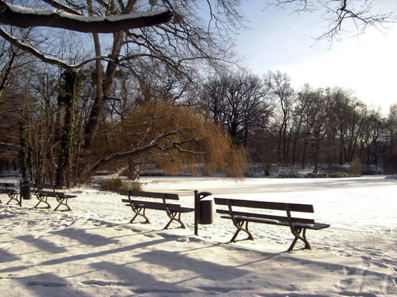 Galerie Winter im Großen Garten - Bild 7