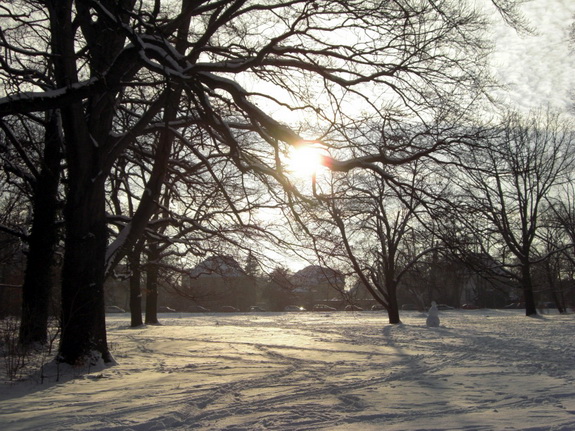 Galerie Winter im Großen Garten - Bild 10