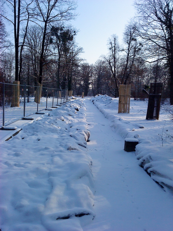 Galerie Winter im Großen Garten - Bild 11