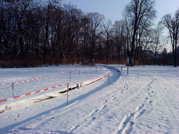 Galerie Winter im Großen Garten - Bild 12