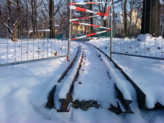 Galerie Winter im Großen Garten - Bild 13