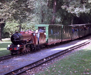 Bild Dampflok River Mite mit Zug unterwegs zum Bf. Zoo, Sammlung T. Schneider