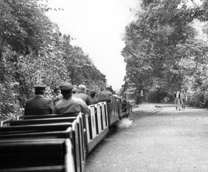 Bild Die letzte Fahrt eines Zuges über den Zooberg im Jahr 1988