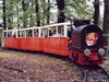 Bild Parkeisenbahn Friedrichsgrün