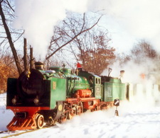 Dampflokomotiven im Jahr 1998