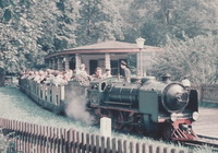 Full steam through the park