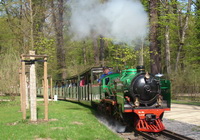 Full steam through the park