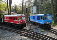 Two trains at zoo station