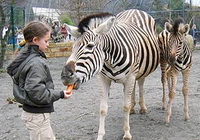 Mit Kindern und Parkeisenbahn zum Dresdner Zoo