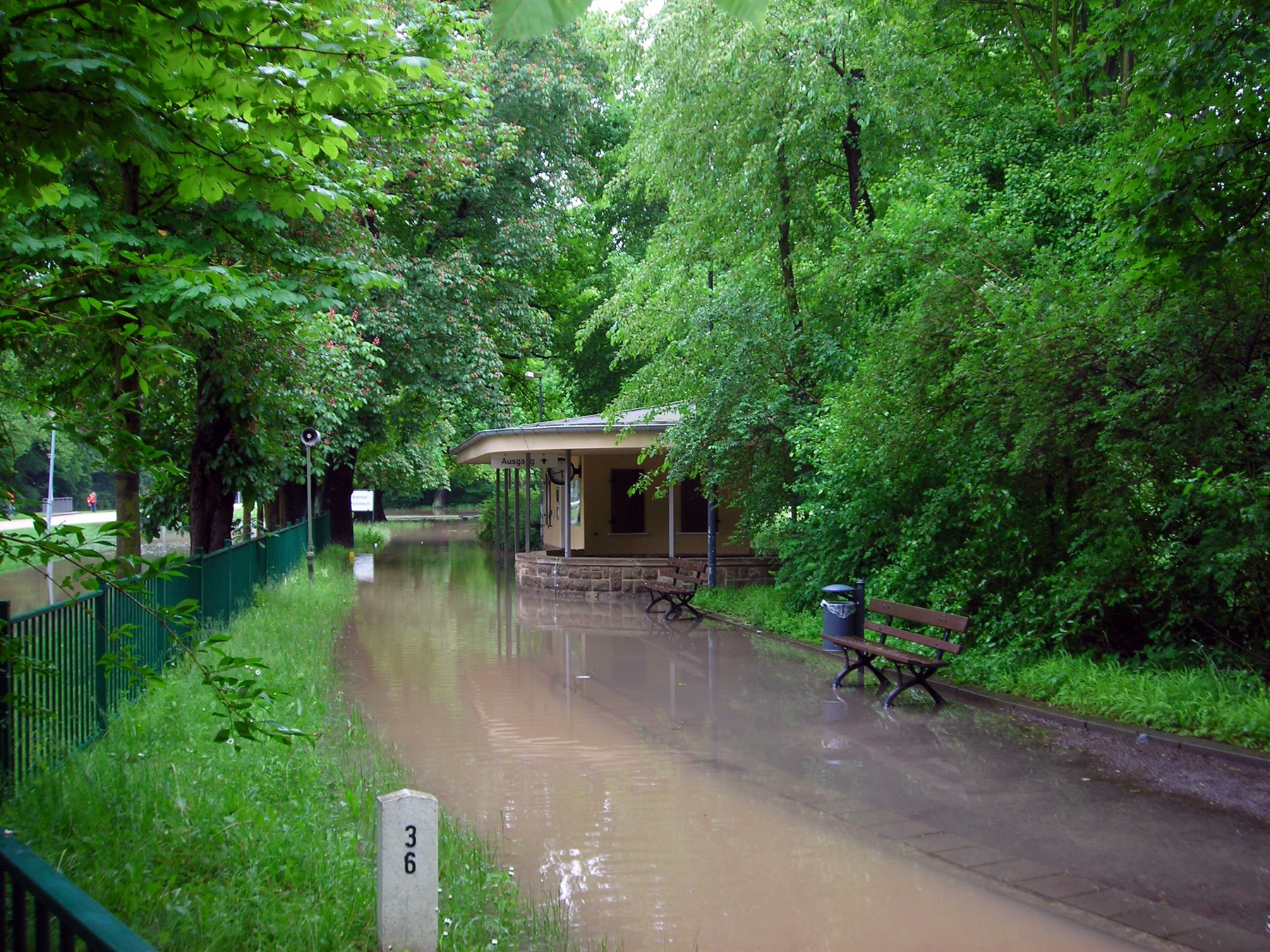 Hochwasser im Großen Garten