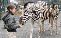 Zoo Dresden - Tiere zum Anfassen nah!